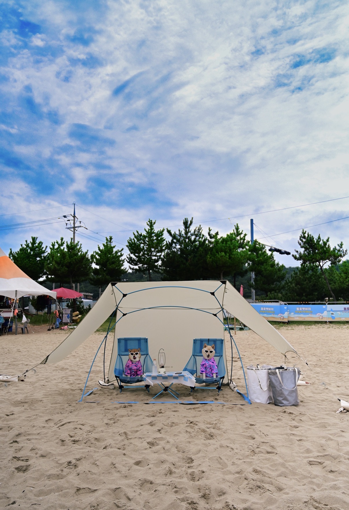 IMG_8609.jpeg 캠핑 사진